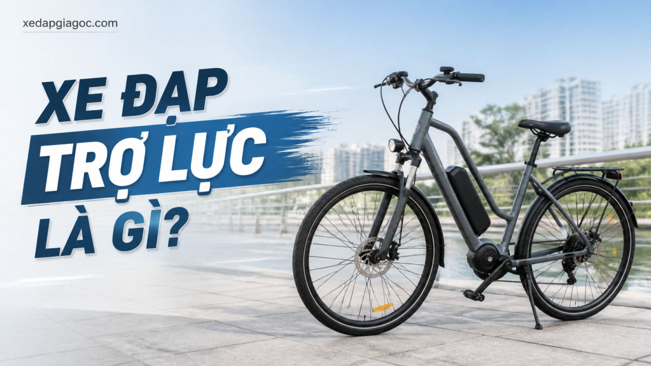 Xe đạp trợ lực là gì? Khác gì xe đạp thường và xe máy điện? Xe đạp trợ lực là gì?