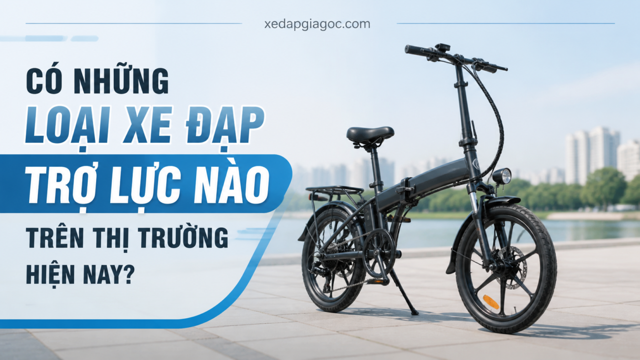 Có những loại xe đạp trợ lực nào trên thị trường hiện nay?